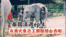 ｜欸你这周要干嘛｜【泰国清迈ep.4】大象友善志工体验!洗小飞象真的太可爱OMG！