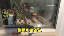 刚结婚，婆婆偷偷翻儿媳的钱包，被儿媳当场逮住，婆婆懵了
