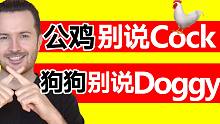 未成年勿进 | “公鸡”的英语别说“cock” | 地道英语表达