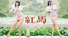 御姐撒花儿~肉肉的红马腿 雨后的江南
