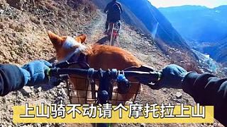 上山骑不动了请个摩托拉上山！ #骑行旅行风景 #山地自行车 #骑行川藏线