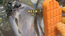 这只牛蹄切开像是被腌过的黄瓜#修牛蹄 #修牛蹄解压 
