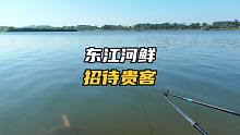 朋友自远方来，我架好锅，用2米7的短竿东江钓两小时，河鱼吃不完