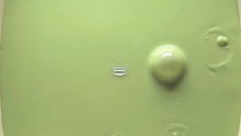 「slime」宇治茶糕