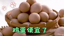河南鸡蛋便宜了，看看现在最新价格，是多少钱一斤