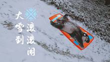 【熊猫二十四节气】大雪到，滚滚闹