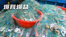 大风后阿彬出海丢下5000米渔网，爆抓100多斤海鲜，过年有钱花了