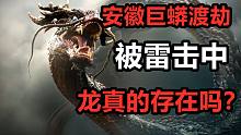 【高能慎入】95年安徽巨蟒渡劫之谜，雷击现象还是灵异事件？