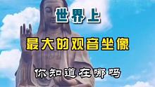 世界上最大的观音坐像你知道在哪吗 