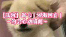 【陆沉】新卡｜深海回音｜约会心动瞬间～