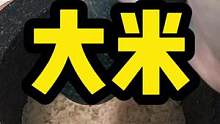 呀呀，锤个大米#解压