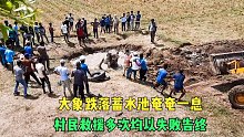 大象跌落蓄水池奄奄一息，村名们多次合力救援，结局很暖心！
