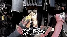 受伤最为严重的一次 #修牛蹄 #解压