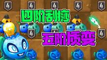 植物大战僵尸：关于五阶电击蓝莓有多强？大嘴：四阶刮痧，五阶刮骨！