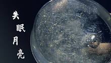 失眠月亮|我和月亮一起失眠