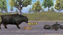 俺老牛都敢撞，不想活啦？#游戏 #和平精英 #王者荣耀 #牛魔 #吃鸡 