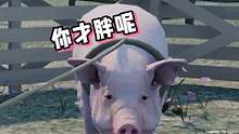 终于体会到了母猪下崽可快乐！#情侣游戏日常 