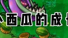 植物大战僵尸：小西瓜的成长