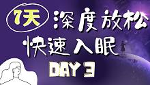 睡眠引导| 7天深度放松快速入眠DAY3 深呼吸梦幻深度优质睡眠海浪疗愈音