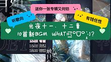 【光夜】第十一、二章10首新BGM！一张碟！鹅你是真有钱 ( ᐛ )
