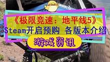 #极限竞速地平线5 Steam开启预售，你选哪个版本？#竞速游戏 