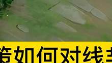 孙策如何对线芈月，国服孙策实战教学来啦，孙策三角跳单杀马超 #穿越吧伍六七