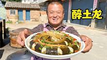 400一斤的“土龙”，用4瓶黄酒灌醉，这样做出来的醉土龙太补了