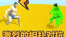 特别普通的一款相扑游戏