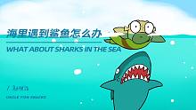 海里遇到鲨鱼怎么办？