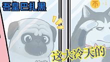 生活不易，狗都要创业？？？【吾皇巴扎黑】