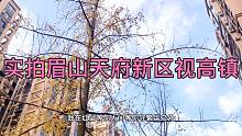 视高镇新盘1.2万，为什么二手房才六七千？