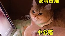 看什么看？没看过猫片啊