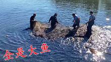 2年没干过的鱼塘，听说里面的鱼全是大货，一网下去4个人才能拉动