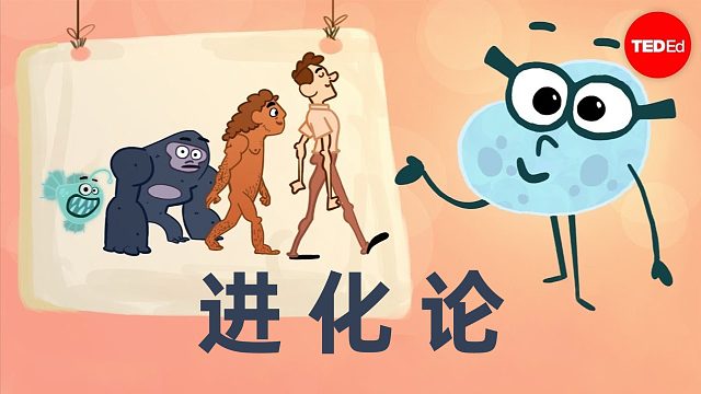 关于进化论的迷思