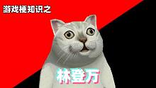 游戏梗知识：林登万