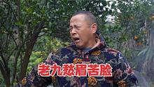 老九帮亲戚卖碰柑遇到难题，老三一起寻求解决办法，鼓励老九加油