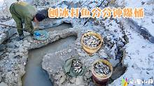 东北农村鱼泛滥，家门口排水沟刨冰打鱼分分钟爆桶，太过瘾了