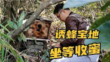 诱蜂宝地两月收获五六窝蜂，小陈不惧颠簸找位置放蜂箱，坐等收蜜