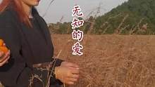 《无知的爱》#乡村搞笑剧情