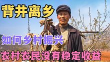 老农民在农村没有稳定收益，背井离乡打工赚钱，乡村振兴如何破局