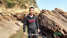 小伙赶海痴迷于抽水坑，因为抽干后给你带来的惊喜就跟捡钱一样