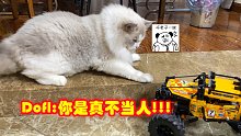 电动拼装逗猫车？反正贼野！男孩的快乐就是这么简单【LEGO—42099】【至死少年28】
