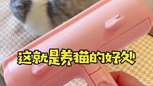 给你们看看养猫的好处！幸福不！！#粘毛器 #猫毛解决方案
