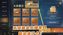 明日之后：肝一个希望基金号抽家具，能出来什么？