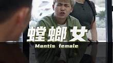 你听说过螳螂女么！#悬疑 #短剧新番计划 