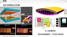 20211126-西安电子科技大学先进材料与纳米科技学院副教授崔暖洋-摩擦电荷的运输行为及其影响