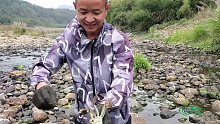 深秋的山溪，小伙扒开草丛伸手一摸有鱼，抓出来却不是鱼
