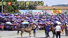 越南北河县的赛马活动。