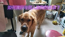 只需一招搞好和别人家狗的关系