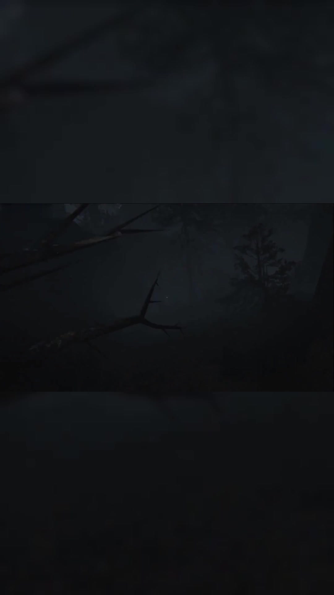 一起來看恐怖游戲呀